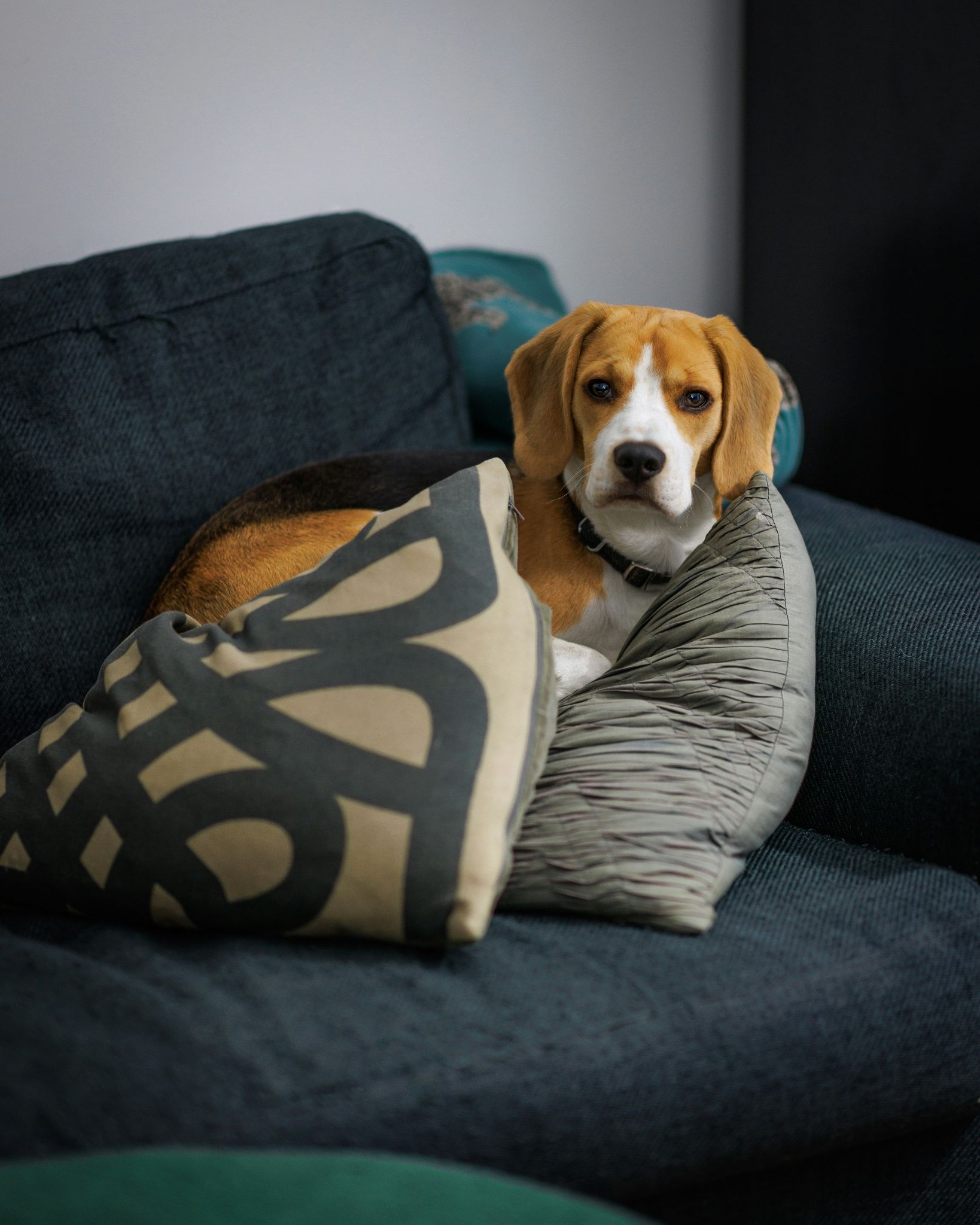 photo-1786481703264-a636a695-68a1-4563-905e-29f12f3db9e8.jpeg