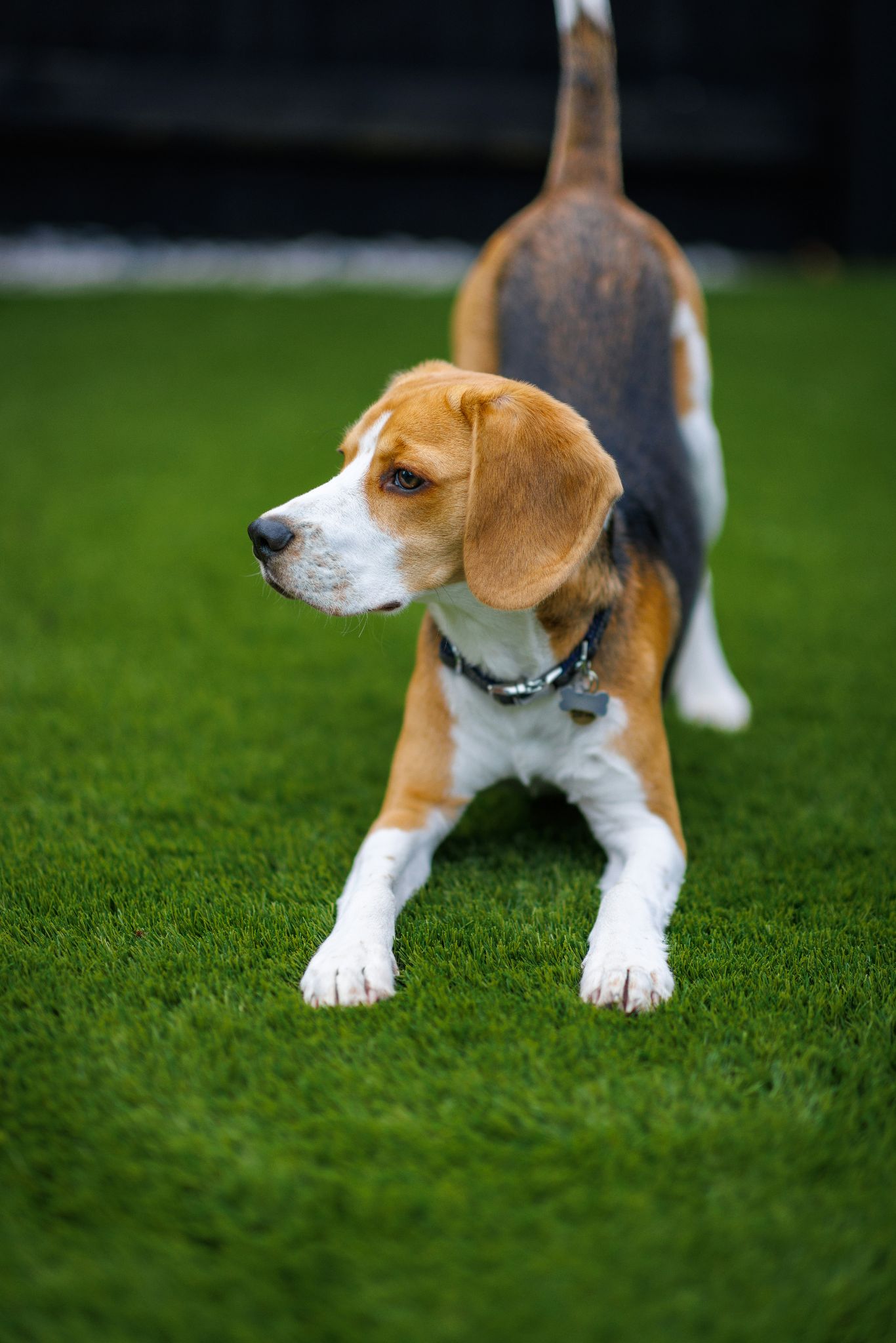 photo-1786481912353-8b2f15fb-75ae-4a59-9045-f9a579a156f4.jpeg